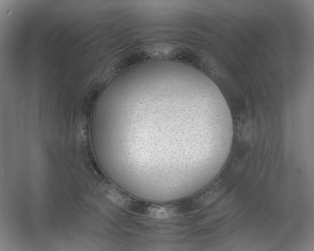 X0000054430561200508121821