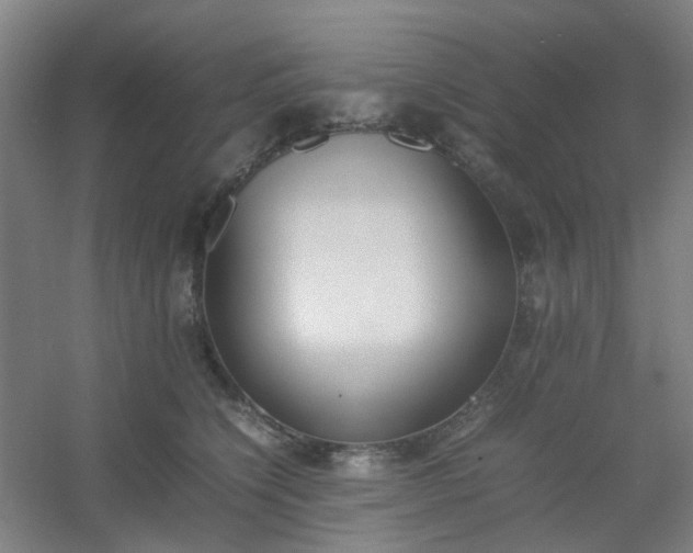 X0000054430564200508121821