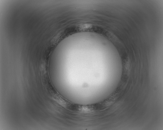 X0000054430565200508121821