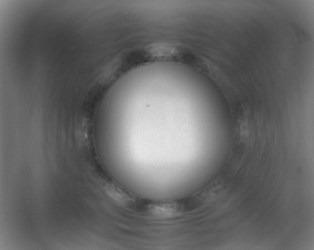 X0000054430567200508121821