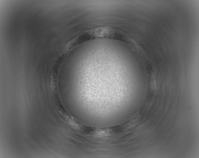 X0000054430569200508121821