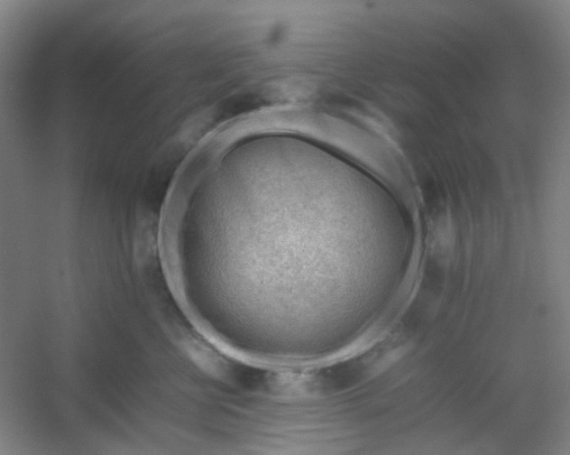 X0000054430570200508121821