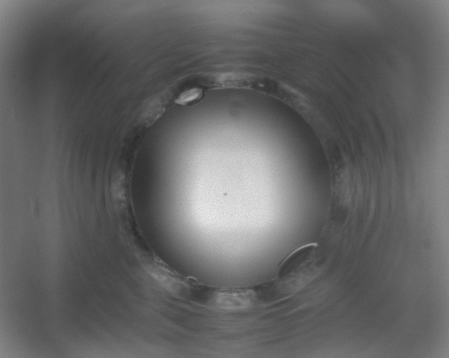 X0000054430571200508121821