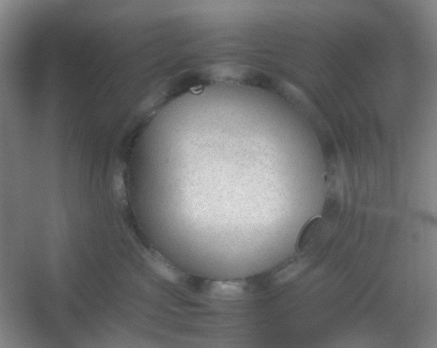 X0000054430573200508121821