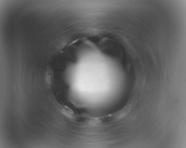 X0000054430576200508121821