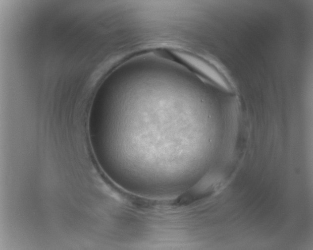 X0000054430577200508121821