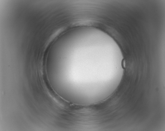 X0000054430578200508121821