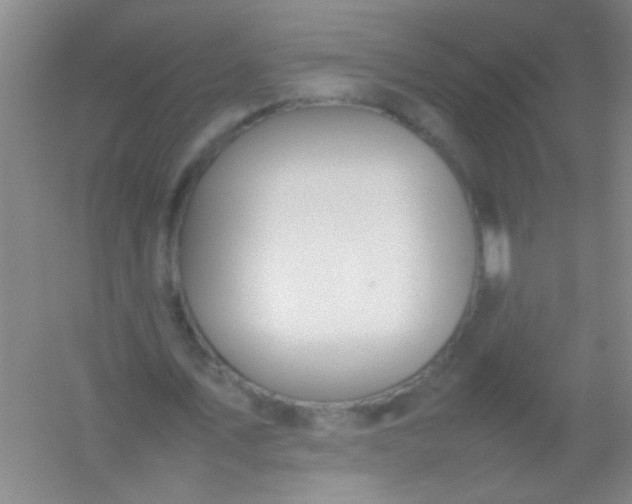 X0000054430579200508121821