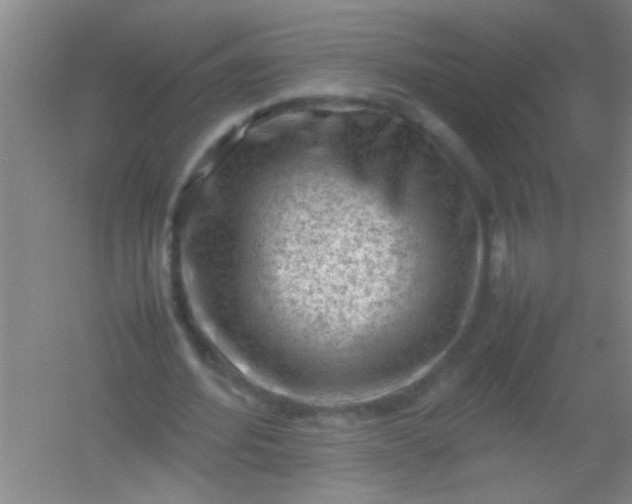 X0000054430580200508121821