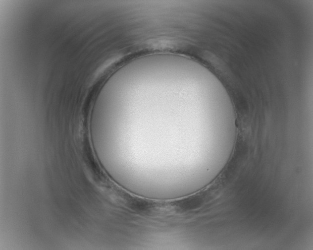 X0000054430583200508121821