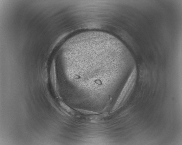 X0000054430584200508121821