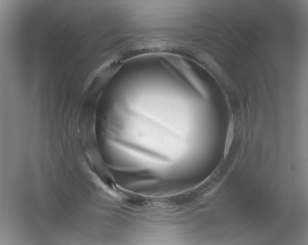 X0000054430585200508121820