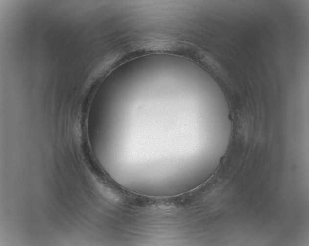 X0000054430586200508121820