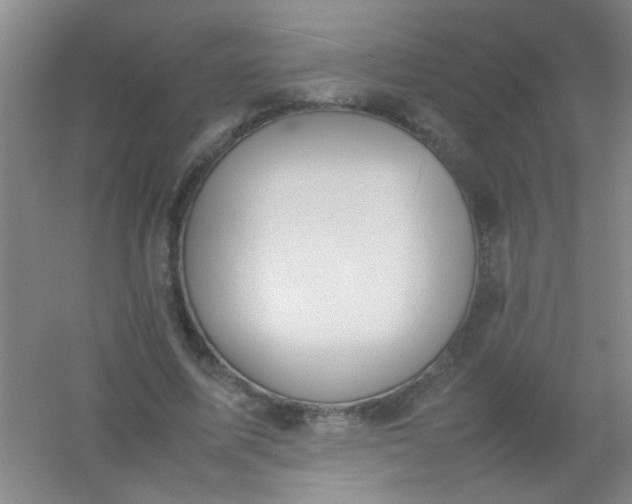 X0000054430587200508121820