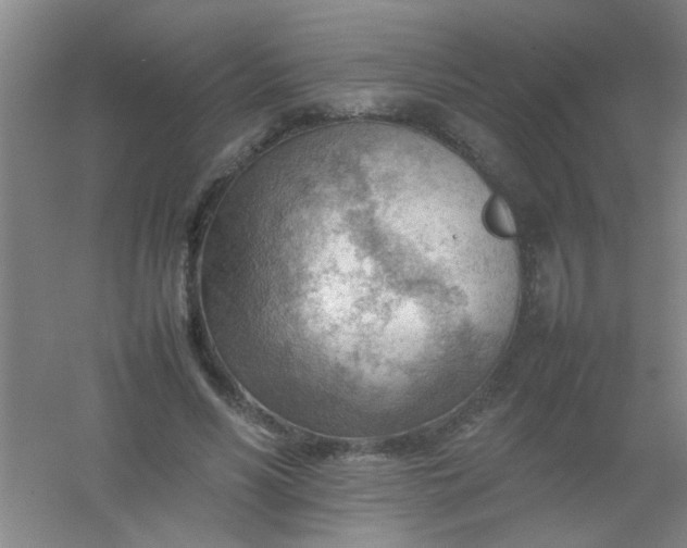 X0000054430590200508121820