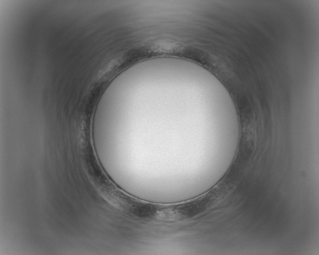 X0000054430591200508121820