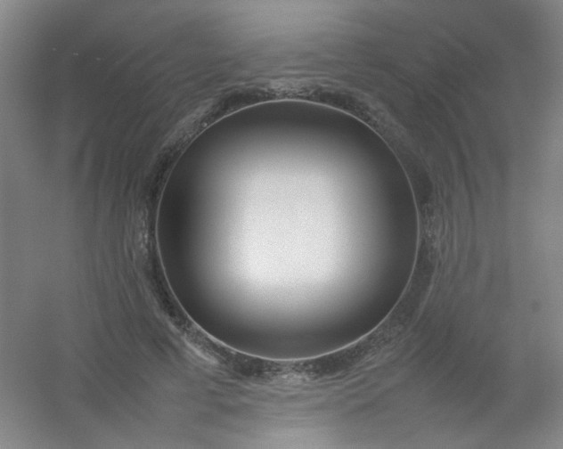 X0000054430593200508121820