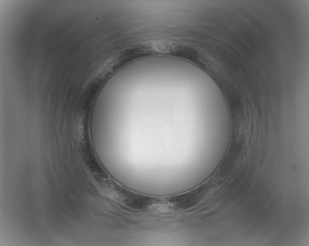 X0000054430595200508121820