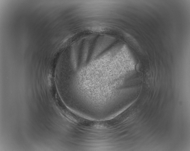 X0000054430596200508121820