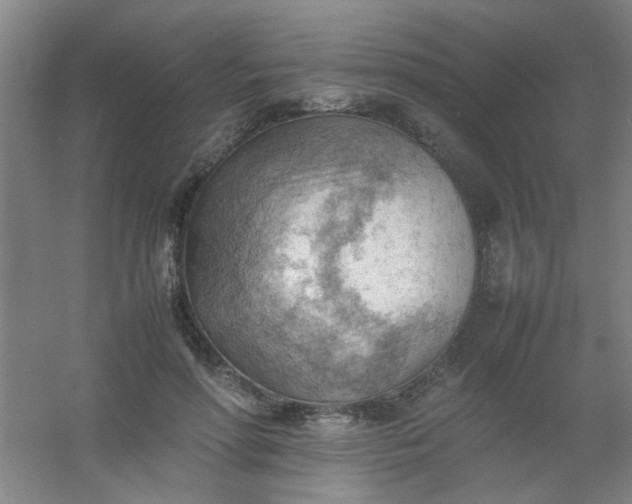 X0000054430598200508121820