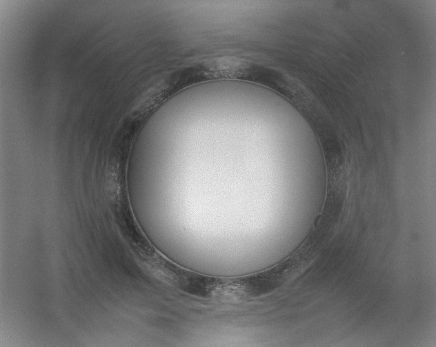 X0000054430599200508121820