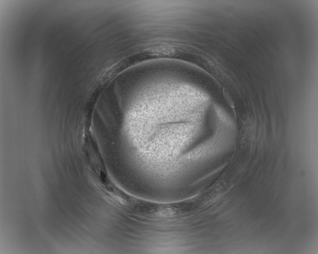 X0000054430600200508121820