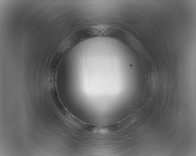 X0000054430602200508121820