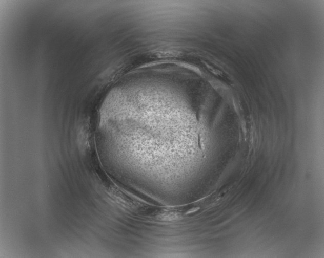 X0000054430604200508121820