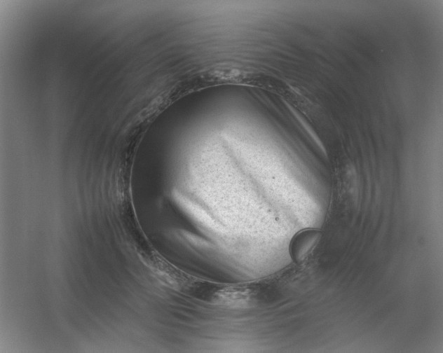 X0000054430606200508121820