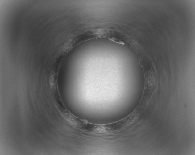 X0000054430611200508121820