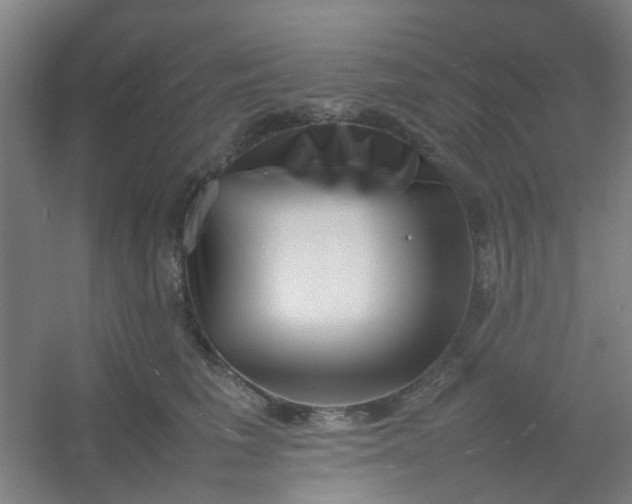 X0000054430613200508121820