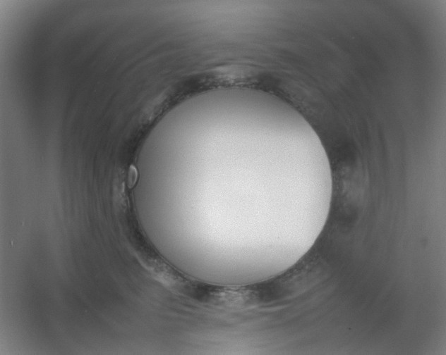 X0000054430615200508121820