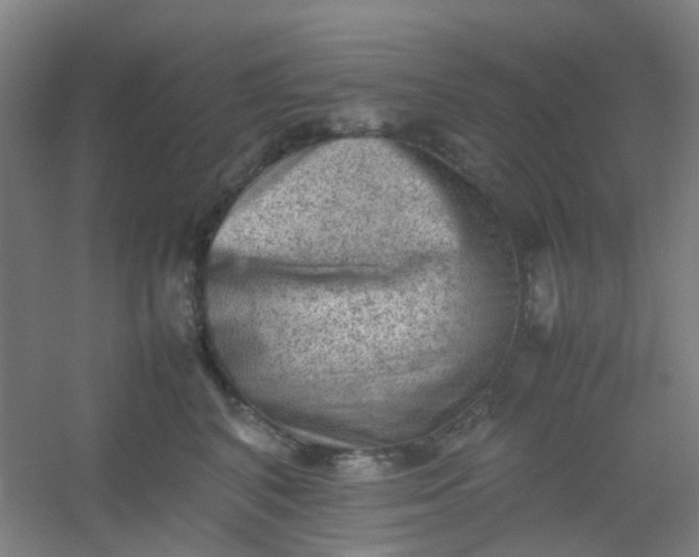 X0000054430616200508121820