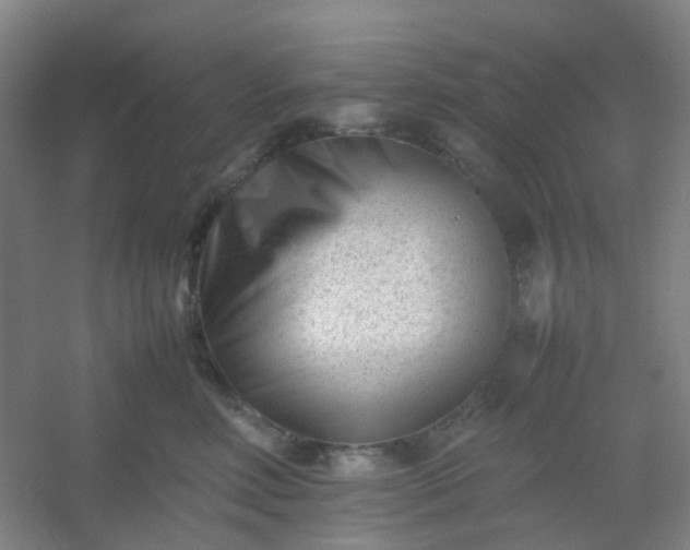 X0000054430618200508121820