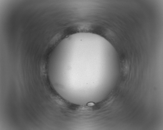 X0000054430619200508121820