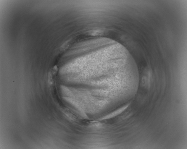 X0000054430620200508121820