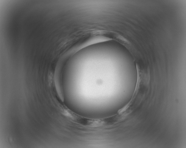 X0000054430621200508121820