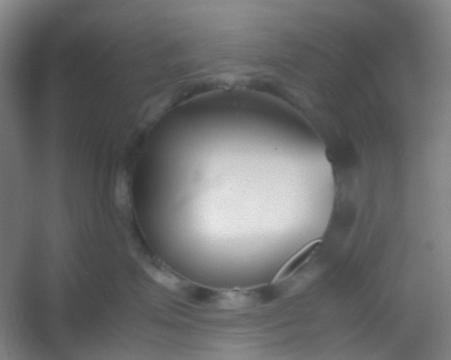 X0000054430623200508121820