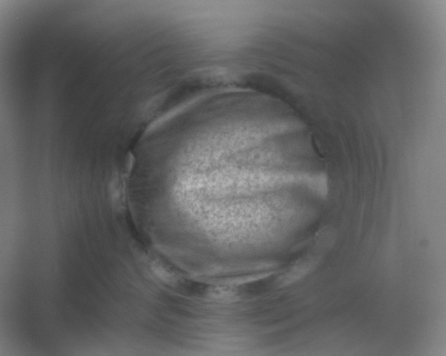 X0000054430624200508121820