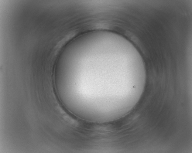 X0000054430625200508121819