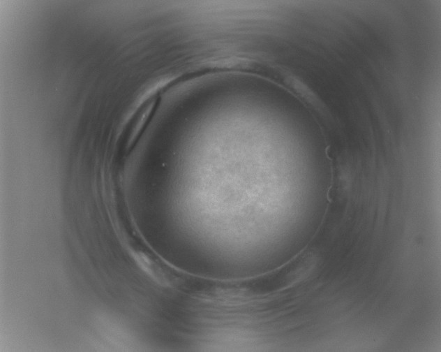 X0000054430626200508121819