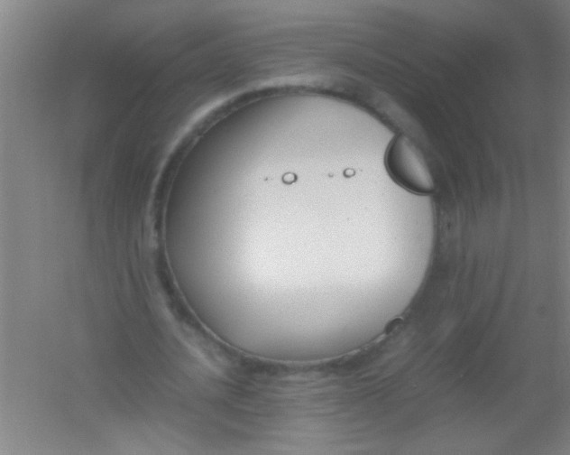 X0000054430628200508121819