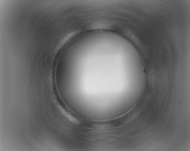 X0000054430629200508121819