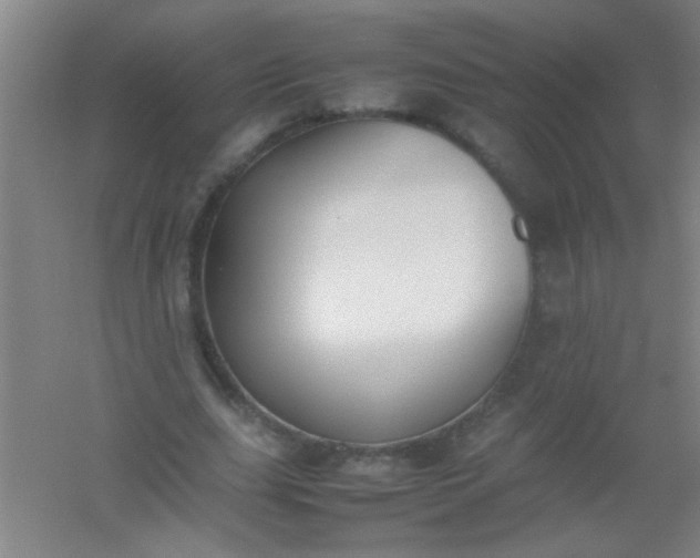 X0000054430631200508121819