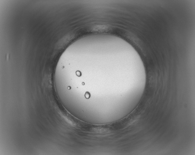 X0000054430633200508121819