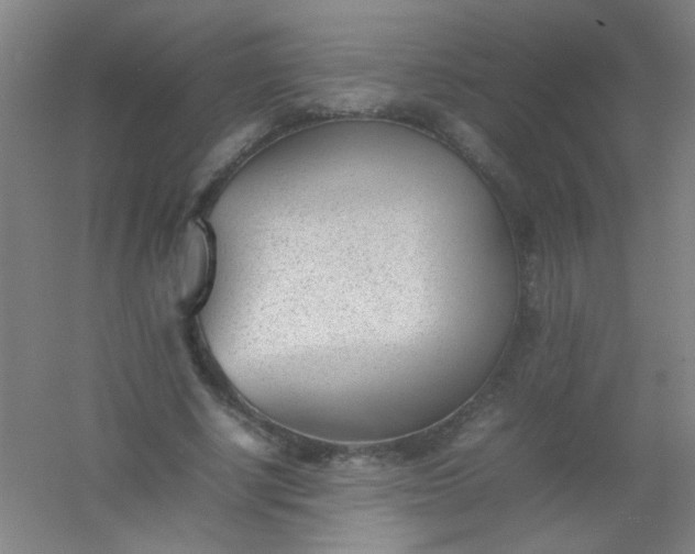 X0000054430634200508121819