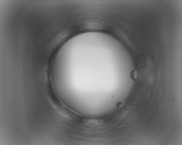 X0000054430635200508121819