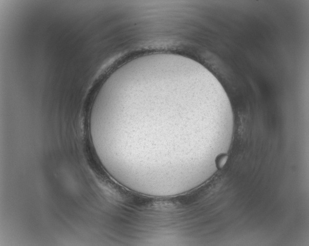 X0000054430636200508121819