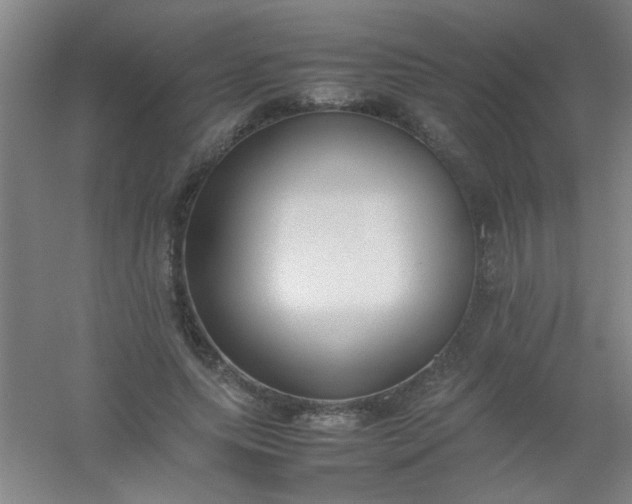 X0000054430639200508121819