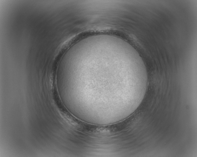 X0000054430640200508121819